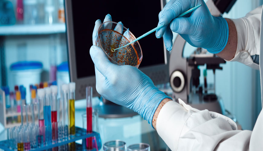 21 CFR Bölüm 58 Klinik Olmayan Laboratuvar Çalışmaları İçin İyi Laboratuvar Uygulaması