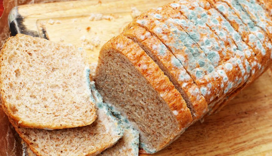 AOAC 2014.05 Prueba estándar para contar levaduras y mohos en alimentos