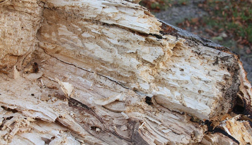 ASTM D2017 Тест на естественную устойчивость древесины к гниению