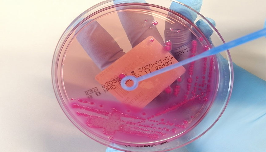 Prueba estándar ASTM D4783 para la resistencia de preparaciones adhesivas para contenedores al ataque de bacterias, levaduras y hongos