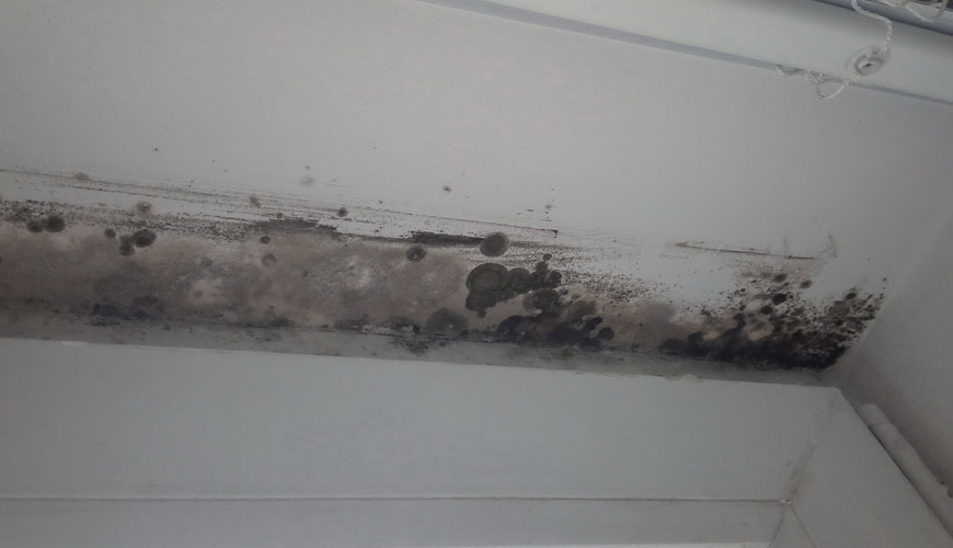 Prueba ASTM D7855 para la detección de crecimiento de moho en productos de construcción revestidos diseñados para aplicaciones interiores