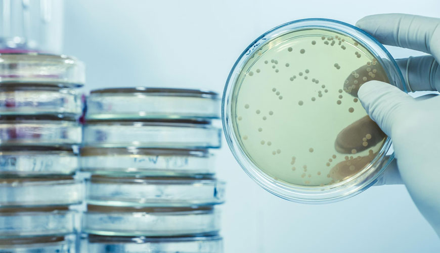Phương pháp thử tiêu chuẩn ASTM E2149 để xác định hoạt tính kháng khuẩn của các chất kháng khuẩn cố định trong điều kiện tiếp xúc động