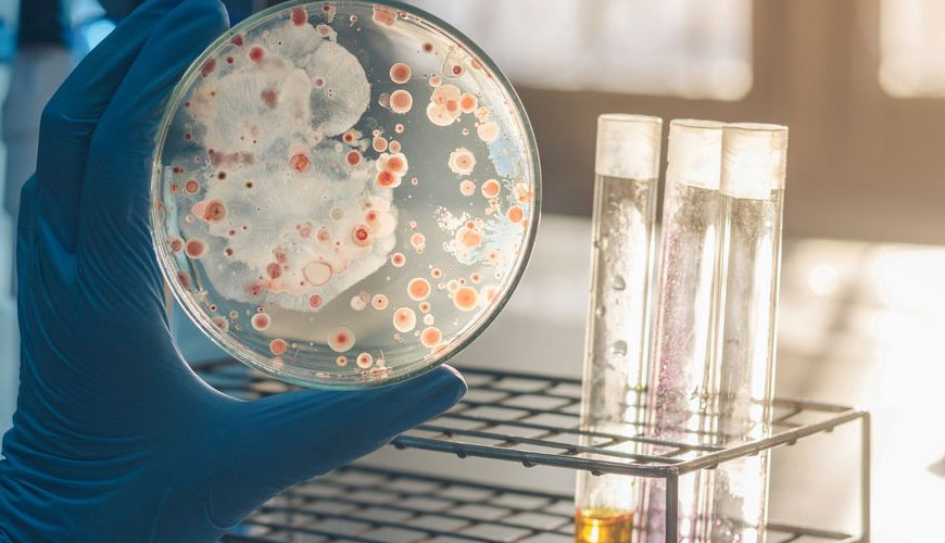 ASTM F1094 Test for Microbiological Monitoring of Water Used in the Processing of Electron and Microelectronic Devices