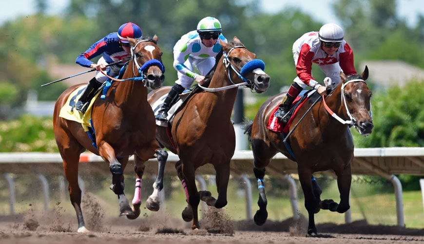 ASTM F2867 Standard Test for Thoroughbred Horse Racing Surfaces