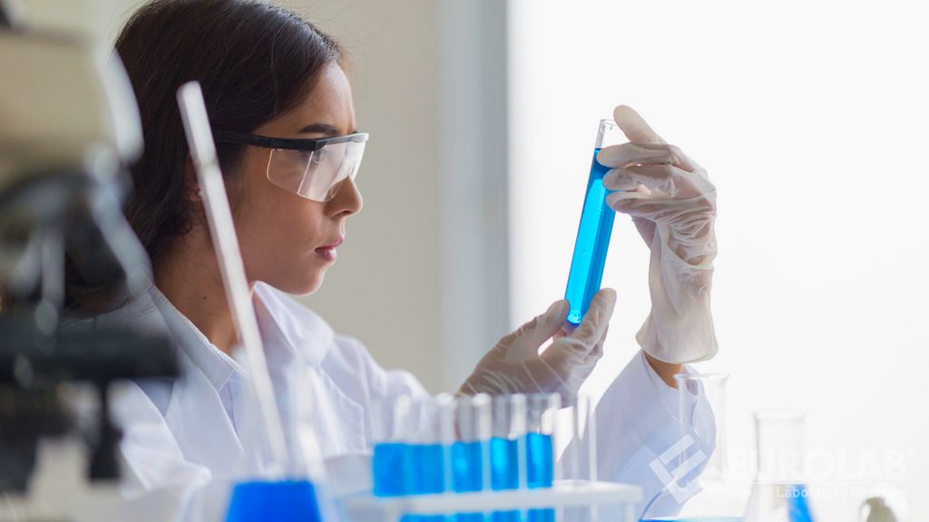 Biyolojik Yük Testi