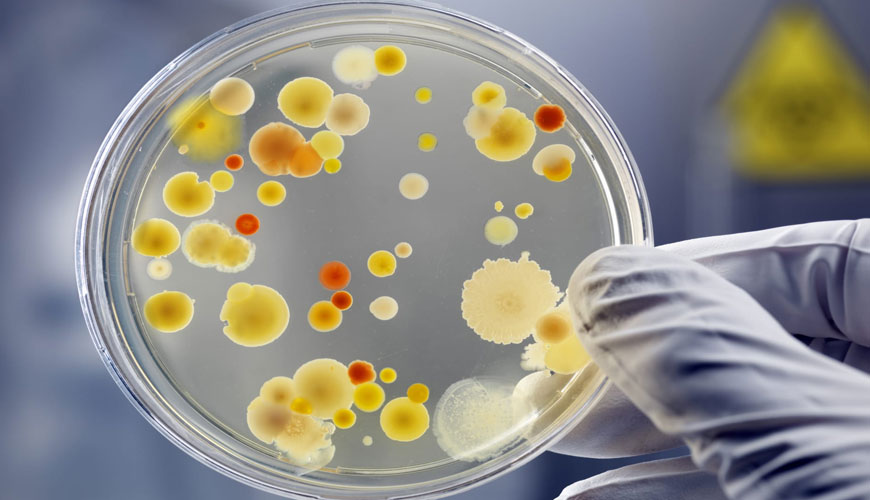 BMW PR 397 Çürümeye Karşı Direnç