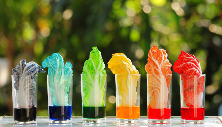 Pruebas sin pintura Pruebas sin pintura