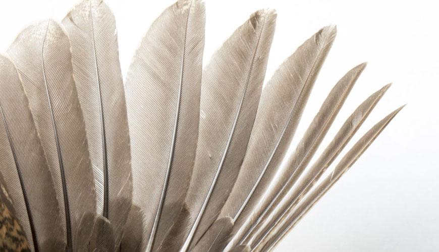 EN 12132-1 羽毛和羽絨 - 測試織物耐羽毛性能的方法 - 第 1 部分：摩擦測試