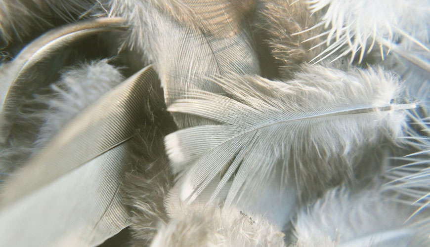 EN 12132-2 Feather and Down - Phương pháp kiểm tra tính chất chống lông của vải - Phần 2: Kiểm tra va đập