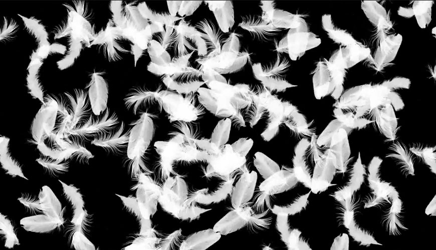 EN 12934 Tüy ve Kuş Tüyü için Standart Test