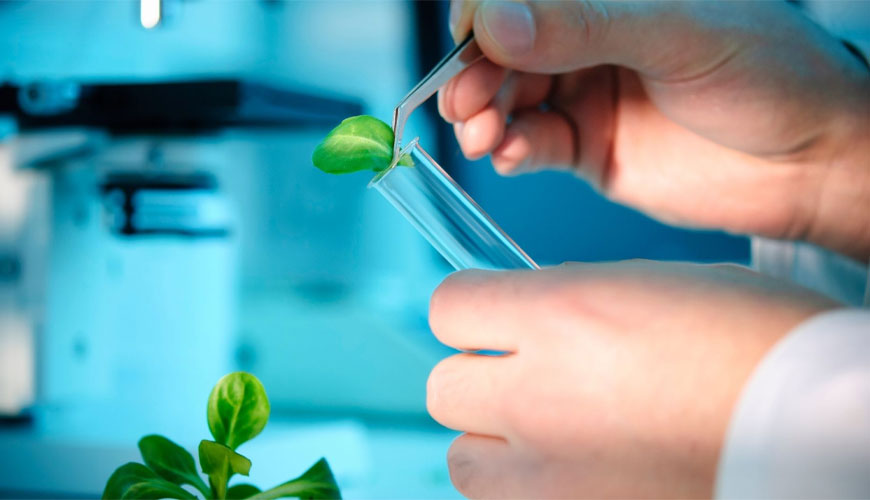 EN 14774-1 Biocombustibles sólidos: prueba de humedad total