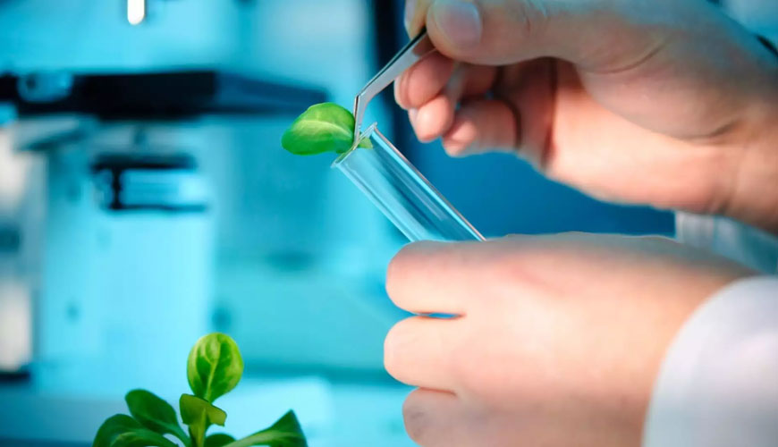 EN 14780 Biocombustibles sólidos: preparación de muestras