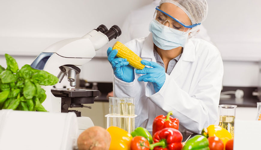 EN 16619 Gıda Analizi için Test