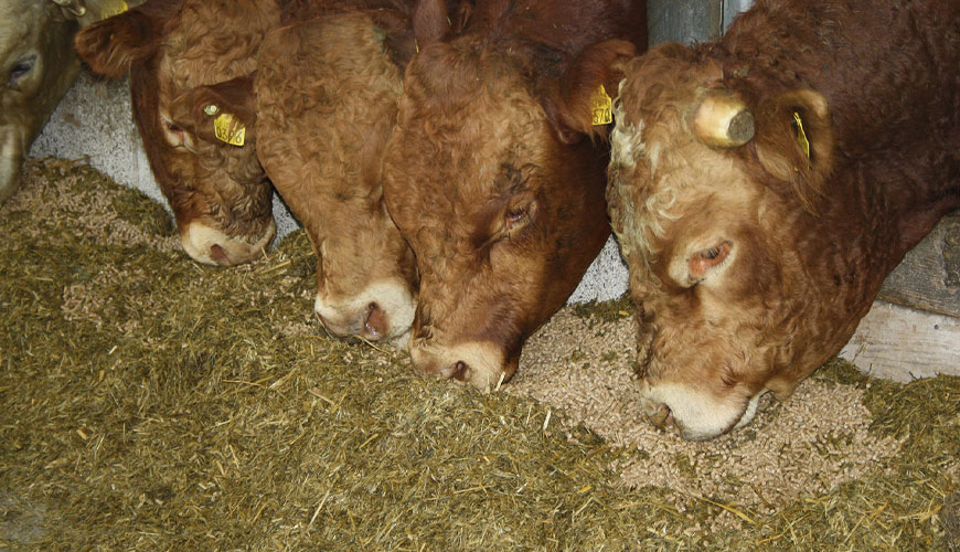 EN 17256 Prueba estándar para la determinación de alcaloides del cornezuelo de centeno y alcaloides de tropano en alimentos para animales, materias primas para alimentos y alimentos compuestos por LC-MS-MS