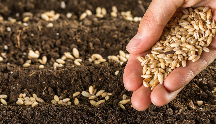 EN 17521 Gıda Maddeleri, SPE Temizliği ve HPLC-MS-MS ile Domates, Buğday ve Ayçiçeği Tohumlarında Alternaria Toksinlerinin Belirlenmesi için Standart Test