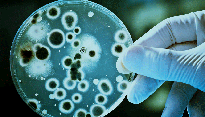 EN ISO 11737-1 保健產品的滅菌 - 微生物方法 - 產品上微生物種群的測定