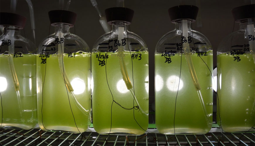 EN ISO 18134-2 سوخت های زیستی جامد - تعیین محتوای رطوبت - روش خشک کردن در کوره - قسمت 2: رطوبت کل