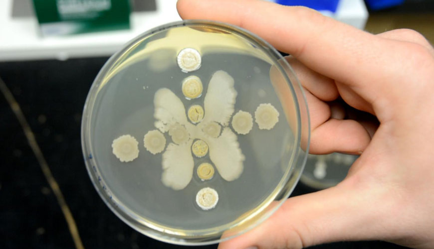 EN ISO 21149 Materiali za ličenje - Mikrobiologija - Štetje in odkrivanje aerobnih mezofilnih bakterij