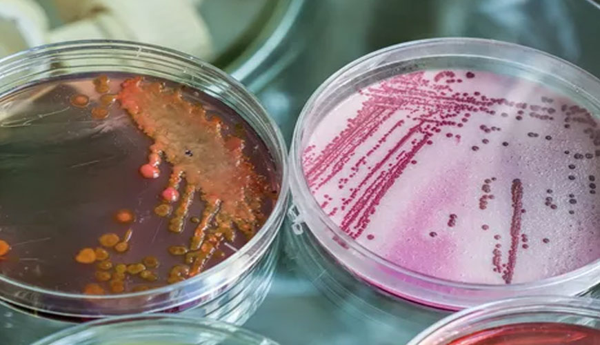 EN ISO 7899-1 Calidad del agua - Detección y enumeración de enterococos intestinales en aguas superficiales y residuales - Parte 1: Método miniaturizado por vacunación en medios líquidos