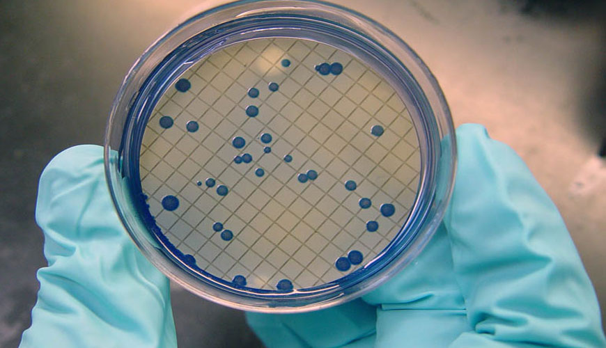 EN ISO 93083 Detection of Escherichia Coli and Coliform Bacteria in