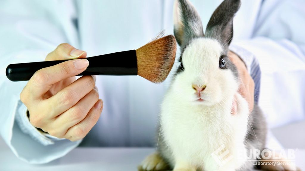 การทดสอบความโหดร้ายฟรี