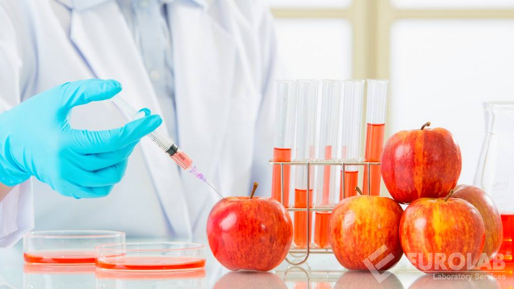 什麼是GMO和GMO測試？
