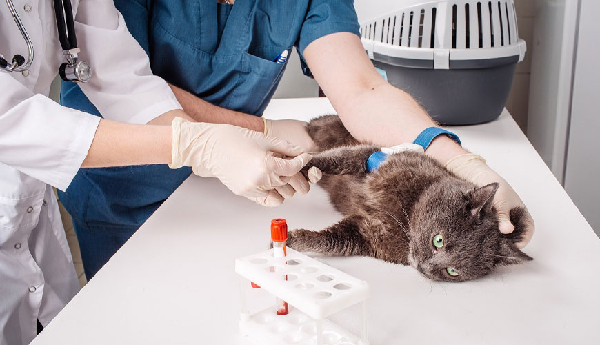 ISO 10993-2 Biološko vrednotenje medicinskih pripomočkov – Testni standard za zahteve za dobro počutje živali
