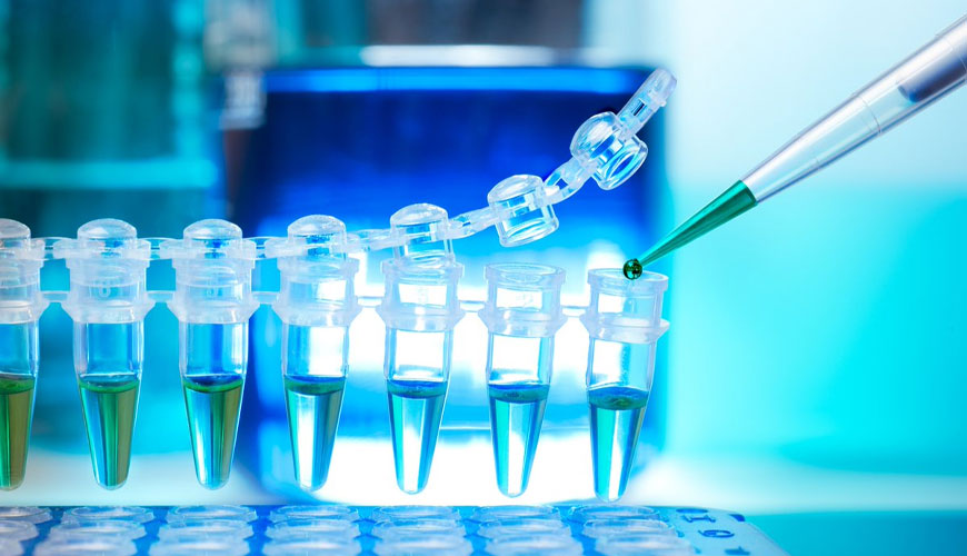 ISO 10993-5 Đánh giá sinh học thiết bị y tế - Thực hành tiêu chuẩn để kiểm tra độc tính tế bào trong ống nghiệm