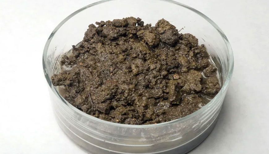 ISO 11465 Soil Quality - Determination of Dry Matter and Water Content by Mass - Gravimetric Method