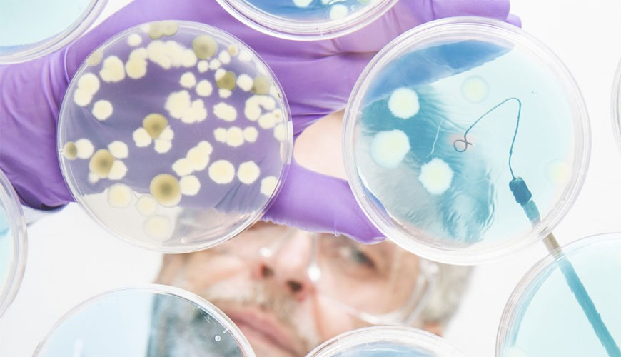 ISO 11930 化妝品 — 微生物學 — 化妝品抗菌保護的評估