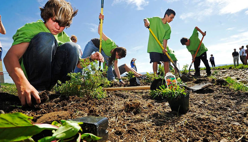 Prueba estándar para etiquetas y declaraciones ambientales ISO 14020, principios generales