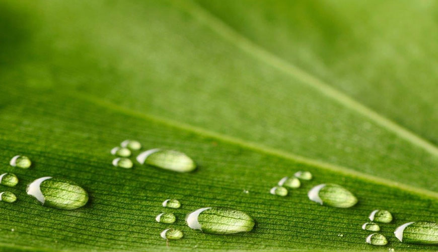 ISO 14046 Water Footprint Verification