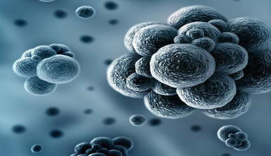 ISO 16000-24 Aire interior - Parte 24: Pruebas de rendimiento para la evaluación de la reducción de concentraciones de compuestos orgánicos volátiles por materiales de construcción absorbentes