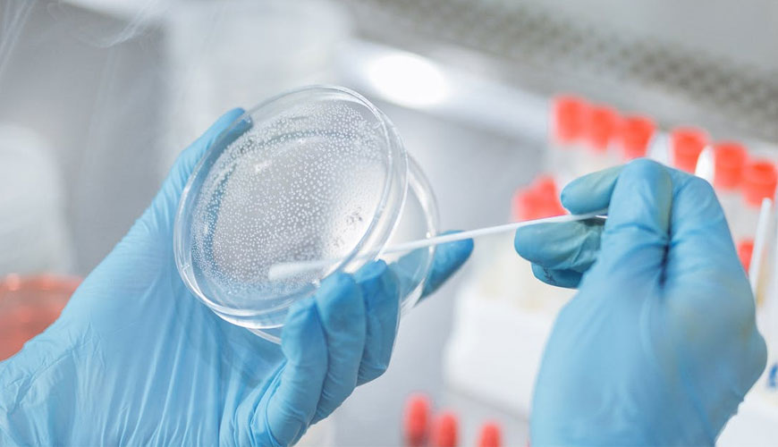 Métodos horizontales para técnicas de muestreo de superficies utilizando placas de contacto ISO 18593 y muestras de torunda