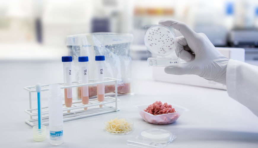 ISO 20136 Deri - Mikro Organizmalar Tarafından Bozulabilmenin Belirlenmesi için Test Standardı