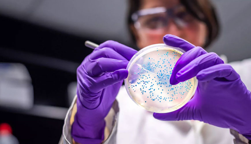 ISO 21527-2 Horizontal Method for Counting Yeast and Molds - Part 2 - Colony Count Technique on Products with Water Activity of 0,95 or Less