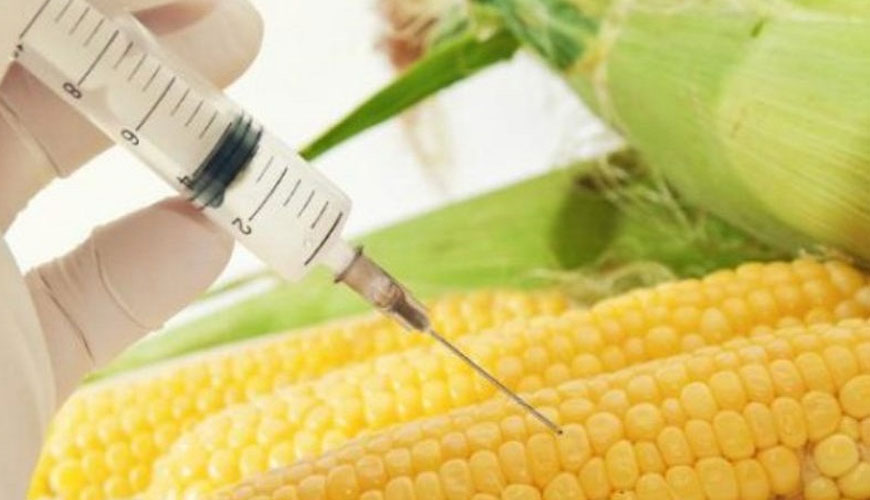 ISO 21571 analizne metode za odkrivanje živil, gensko spremenjenih organizmov in pridobljenih proizvodov