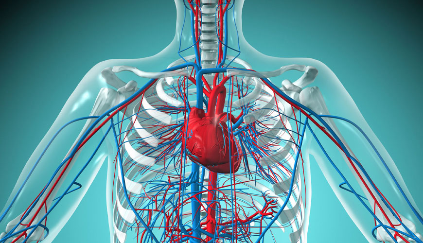 ISO 25539-4 Implan Kardiovaskular - Tes untuk Endovaskular Dilapisi
