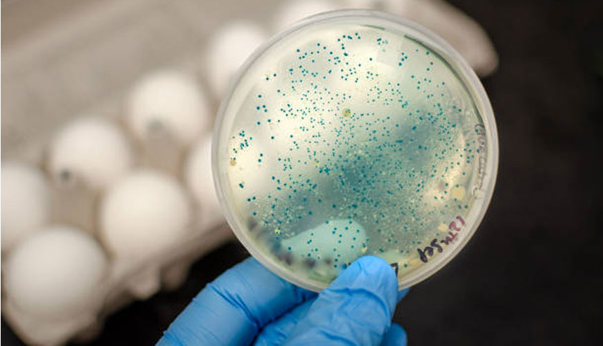 ISO 4832 Mikrobiologija hrane in živalske krme - Horizontalna metoda za štetje koliformnih bakterij - Tehnika štetja kolonij