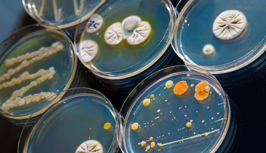 ISO 4833-1 Microbiology of the Food Chain, Horizontal Method for Counting Microorganisms