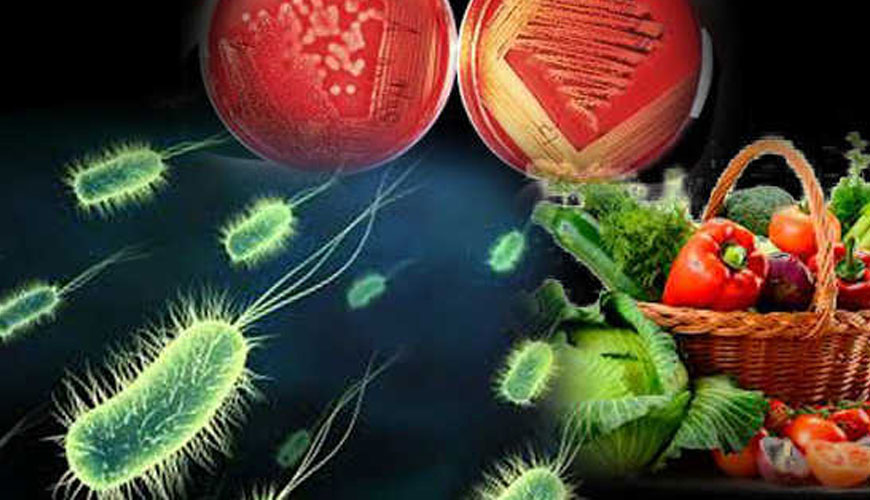 ISO 6579-1 Besin Zincirinin Mikrobiyolojisi - Salmonella Saptanması, Sayımı ve Serotiplenmesi için Test