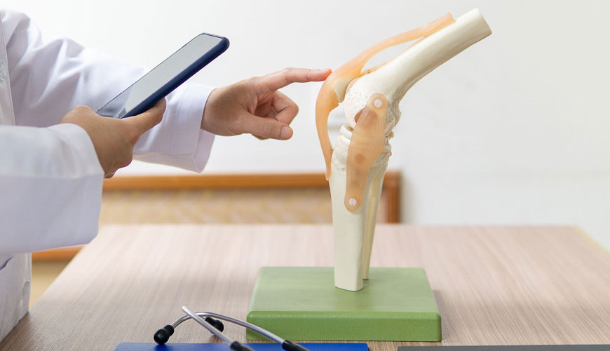 ISO 7206-6 外科植入物 - 部分和全髖關節假體 - 根部股骨部件頸部區域的耐久性測試和性能要求