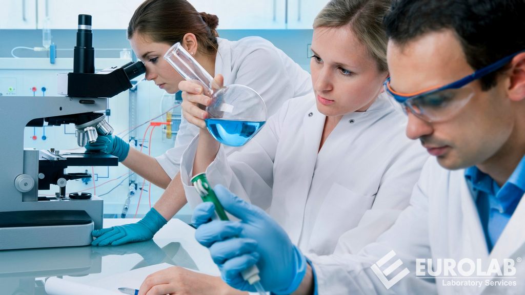 Pruebas antimicrobianas ISO 846 para plásticos