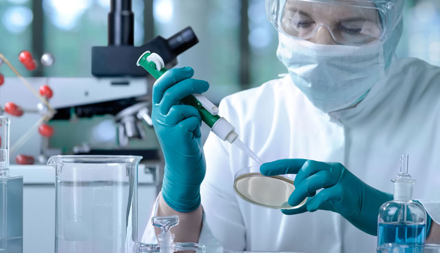 Análisis de toxicología molecular