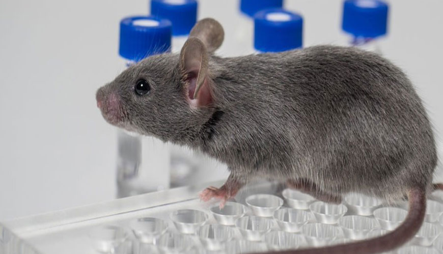 OECD 408 囓齒動物重複劑量 90 天口服毒性研究的標準測試