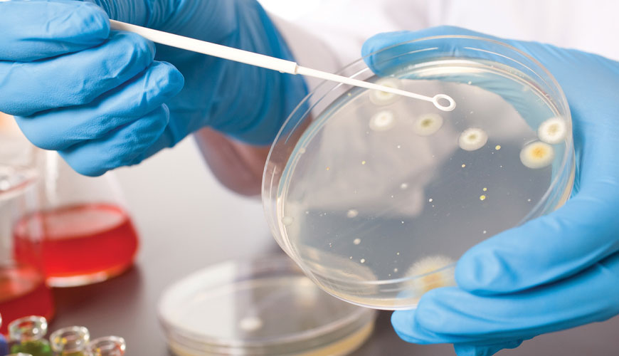 OECD 435 Smernice OECD za preskušanje kemikalij, in vitro testna metoda membranske pregrade za jedkost za kožo