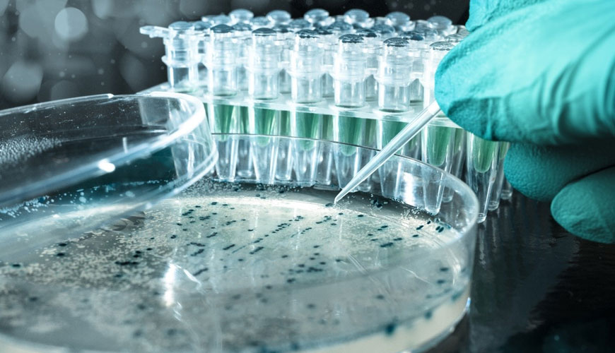 Prueba de mutación inversa bacteriana OECD 471 (prueba de Ames)