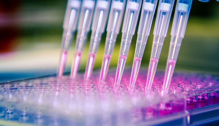 Méthode standard OCDE 487 pour les tests in vitro du micronoyau sur des cellules de mammifères