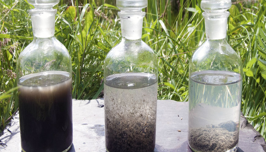 Prueba de toxicidad de quironomida con sedimento enriquecido TG 218 de la OCDE