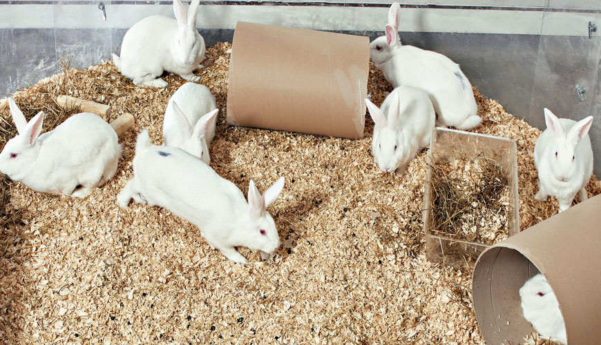 Estudio de toxicidad en el desarrollo prenatal TG 414 de la OCDE Estudio de toxicidad en el desarrollo prenatal TG 414 de la OCDE